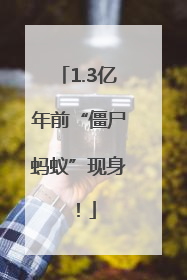 1.3亿年前“僵尸蚂蚁”现身！