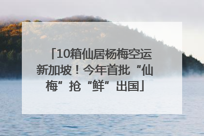 10箱仙居杨梅空运新加坡！今年首批“仙梅”抢“鲜”出国