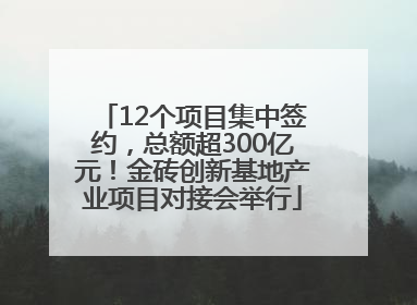 12个项目集中签约，总额超300亿元！金砖创新基地产业项目对接会举行
