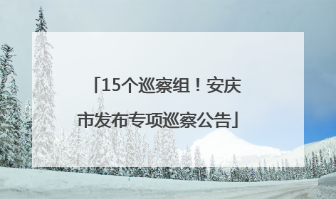 15个巡察组！安庆市发布专项巡察公告