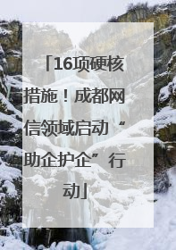 16项硬核措施！成都网信领域启动“助企护企”行动