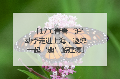 17℃青春‘沪’动季走进上海，邀您一起‘趣’游建德