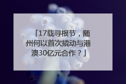 17载寻根节，随州何以首次撬动与港澳30亿元合作？