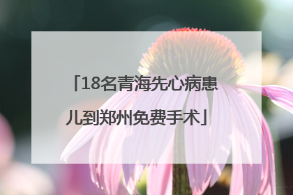 18名青海先心病患儿到郑州免费手术