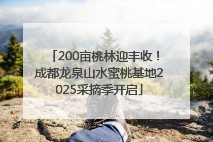 200亩桃林迎丰收！成都龙泉山水蜜桃基地2025采摘季开启