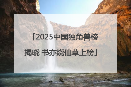 2025中国独角兽榜揭晓 书亦烧仙草上榜