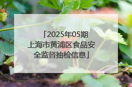 2025年05期上海市黄浦区食品安全监督抽检信息