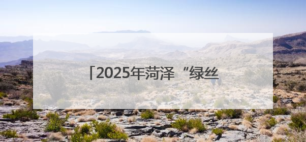 2025年菏泽“绿丝带爱心送考”行动启动