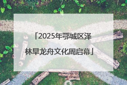 2025年鄂城区泽林旱龙舟文化周启幕