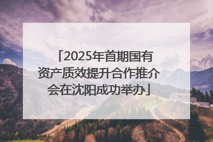 2025年首期国有资产质效提升合作推介会在沈阳成功举办