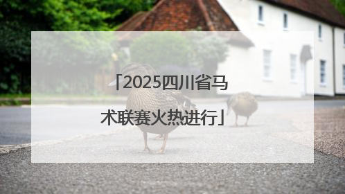 2025四川省马术联赛火热进行