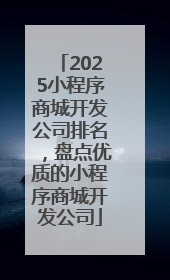 2025小程序商城开发公司排名，盘点优质的小程序商城开发公司