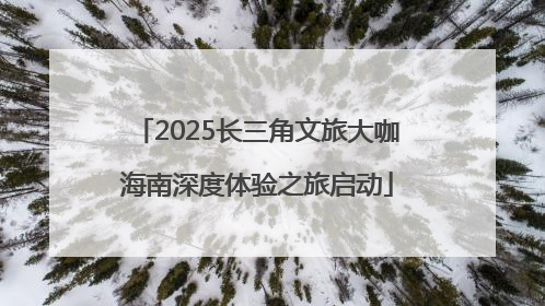 2025长三角文旅大咖海南深度体验之旅启动