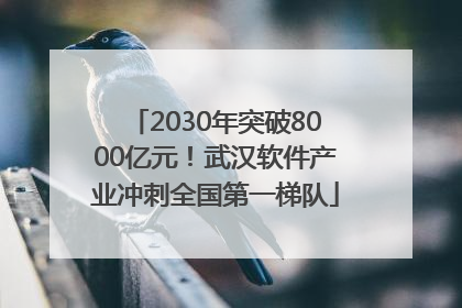 2030年突破8000亿元！武汉软件产业冲刺全国第一梯队