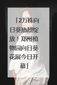 2万株向日葵热烈绽放！郑州植物园向日葵花展今日开幕