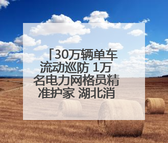 30万辆单车流动巡防 1万名电力网格员精准护家 湖北消防多措并举掀起“安全生产月”宣传热潮