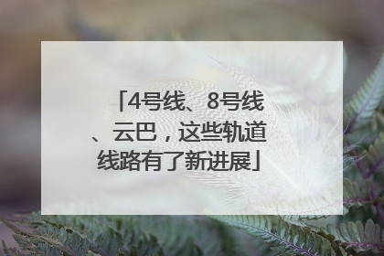 4号线、8号线、云巴，这些轨道线路有了新进展