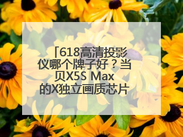 618高清投影仪哪个牌子好？当贝X5S Max的X独立画质芯片有什么作用