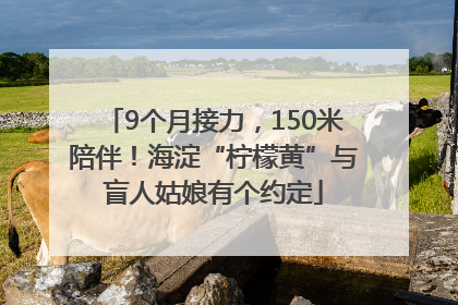 9个月接力，150米陪伴！海淀“柠檬黄”与盲人姑娘有个约定