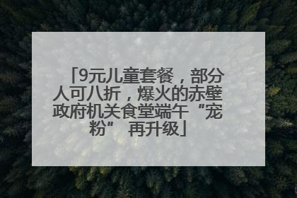 9元儿童套餐，部分人可八折，爆火的赤壁政府机关食堂端午“宠粉” 再升级