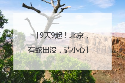 9天9起！北京，有蛇出没，请小心