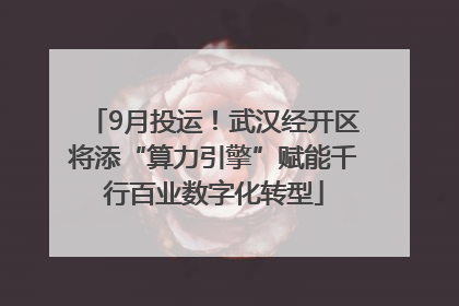 9月投运！武汉经开区将添“算力引擎”赋能千行百业数字化转型