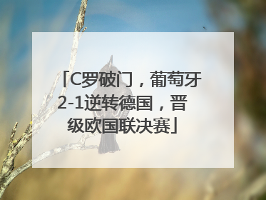 C罗破门，葡萄牙2-1逆转德国，晋级欧国联决赛