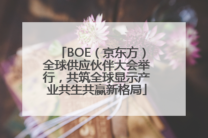 BOE（京东方）全球供应伙伴大会举行，共筑全球显示产业共生共赢新格局