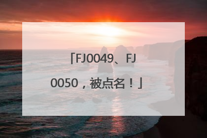 FJ0049、FJ0050，被点名！