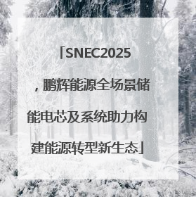 SNEC2025，鹏辉能源全场景储能电芯及系统助力构建能源转型新生态