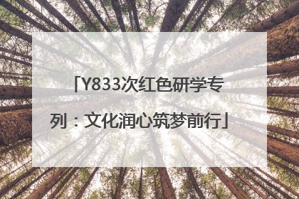 Y833次红色研学专列：文化润心筑梦前行